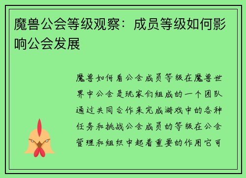 魔兽公会等级观察：成员等级如何影响公会发展